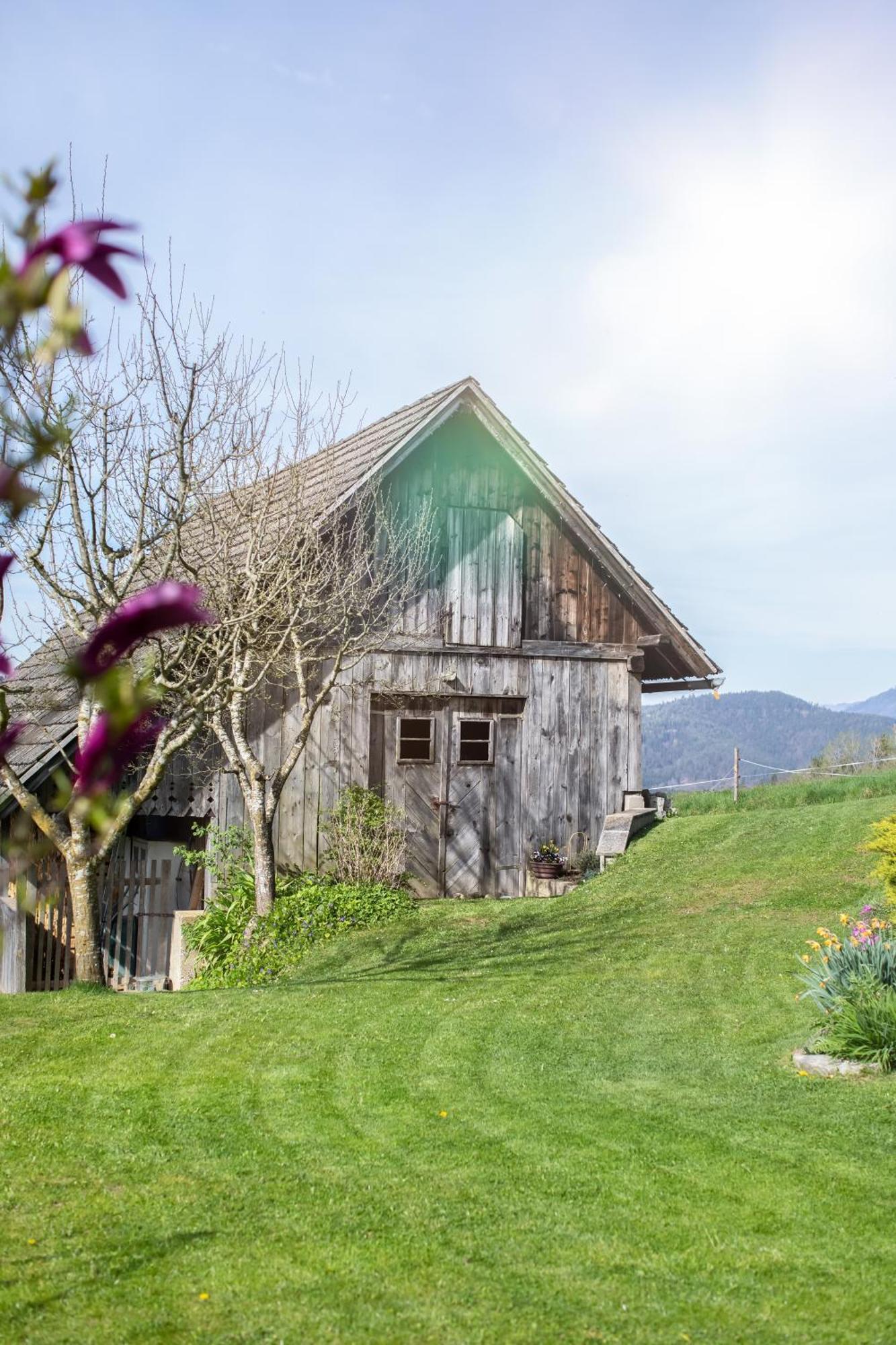 Villa Ferienhaus Nuova Via Griffen Exterior foto